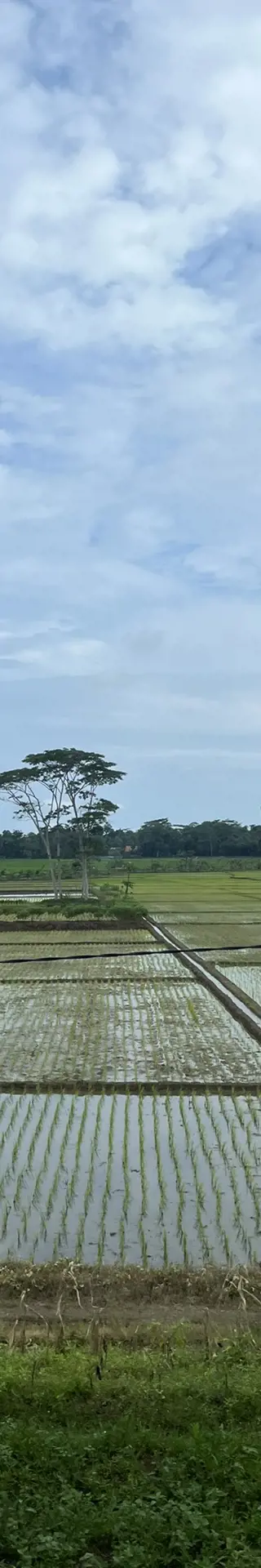 Eine malerische Zugfahrt